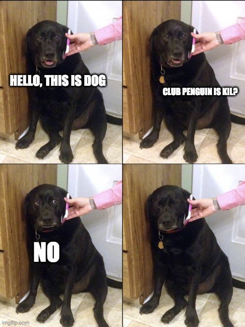 Hello this is dog | CLUB PENGUIN IS KIL? HELLO, THIS IS DOG; NO | image tagged in hello this is dog | made w/ Imgflip meme maker