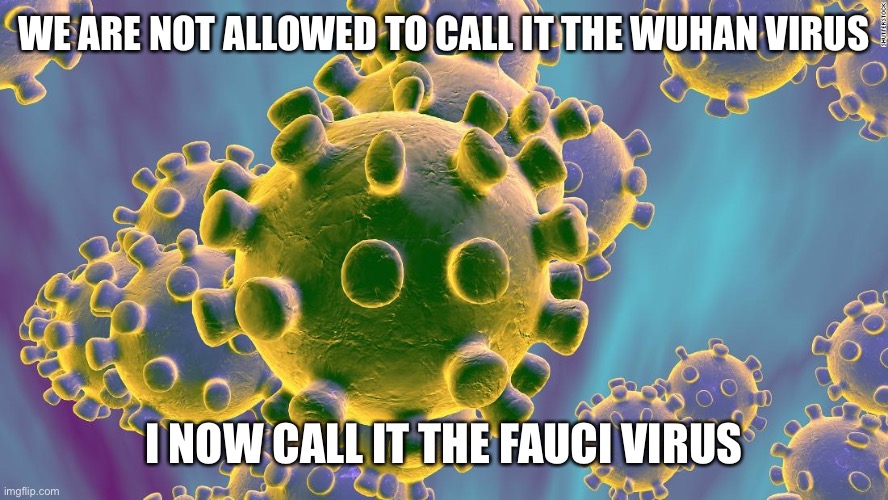 May I present to you:The Fauci Virus | WE ARE NOT ALLOWED TO CALL IT THE WUHAN VIRUS; I NOW CALL IT THE FAUCI VIRUS | image tagged in coronavirus,fauci virus,wuhan | made w/ Imgflip meme maker