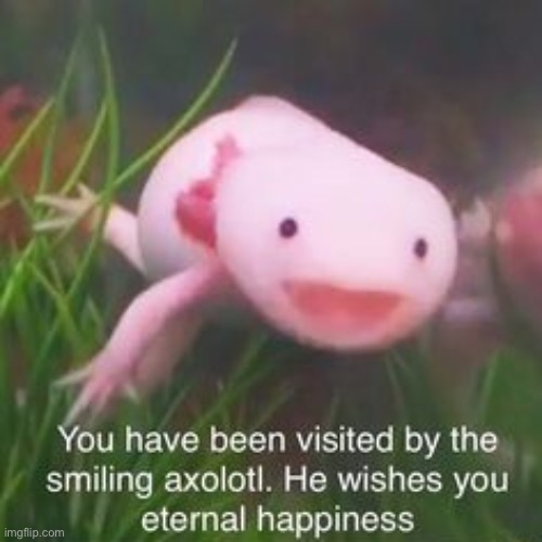 :3 | made w/ Imgflip meme maker