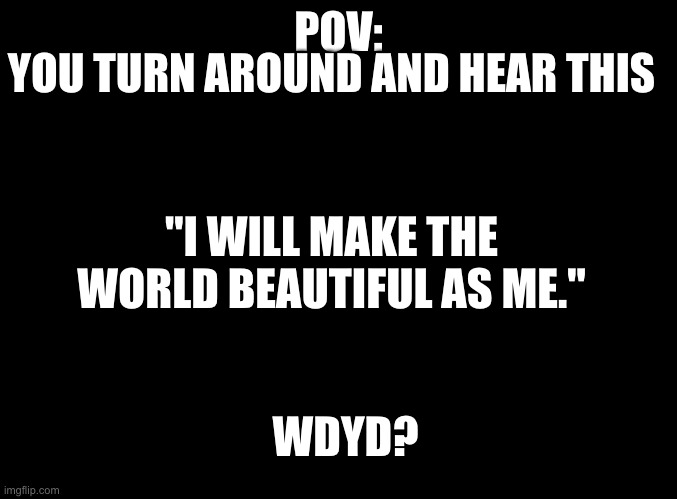 Weird RP but yes |  YOU TURN AROUND AND HEAR THIS; POV:; "I WILL MAKE THE WORLD BEAUTIFUL AS ME."; WDYD? | image tagged in blank black | made w/ Imgflip meme maker
