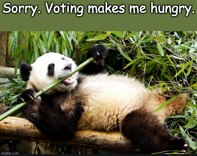 Sorry. Voting makes me hungry. | made w/ Imgflip meme maker