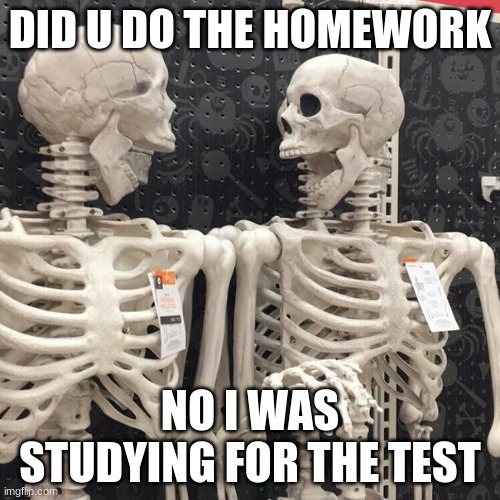 Two Skeletons | DID U DO THE HOMEWORK; NO I WAS STUDYING FOR THE TEST | image tagged in two skeletons | made w/ Imgflip meme maker