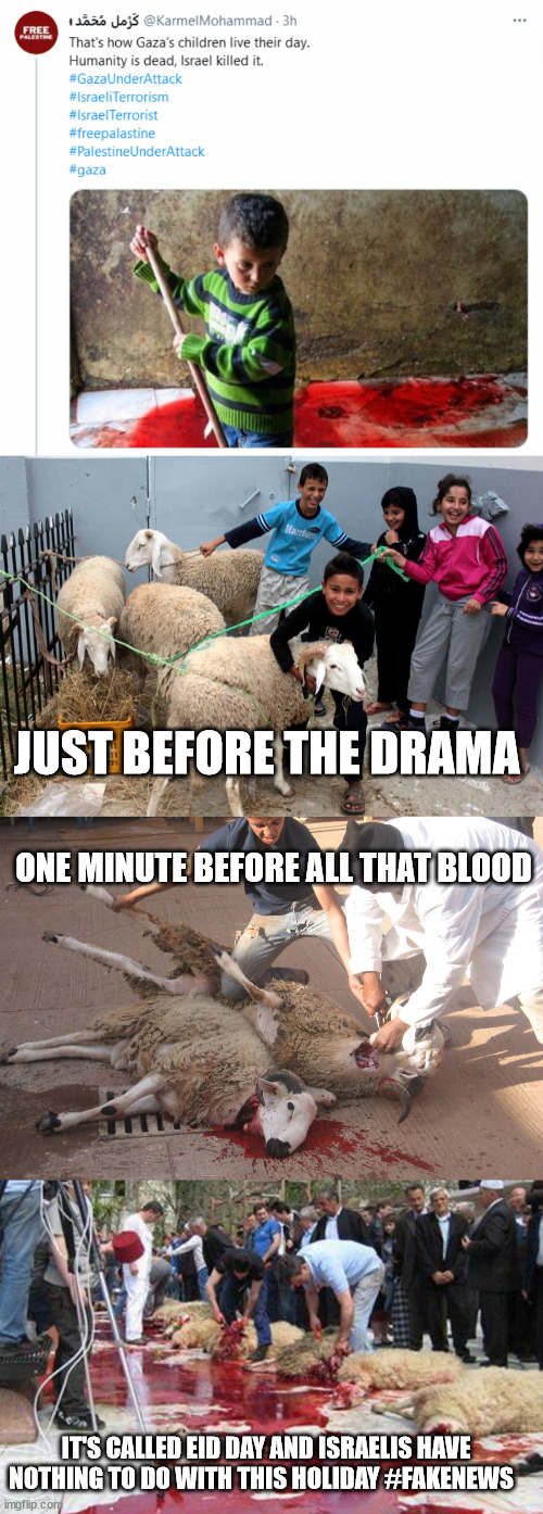 JUST BEFORE THE DRAMA; ONE MINUTE BEFORE ALL THAT BLOOD; IT'S CALLED EID DAY AND ISRAELIS HAVE NOTHING TO DO WITH THIS HOLIDAY #FAKENEWS | image tagged in fakenews,palestine,israel,muslims,holidays | made w/ Imgflip meme maker