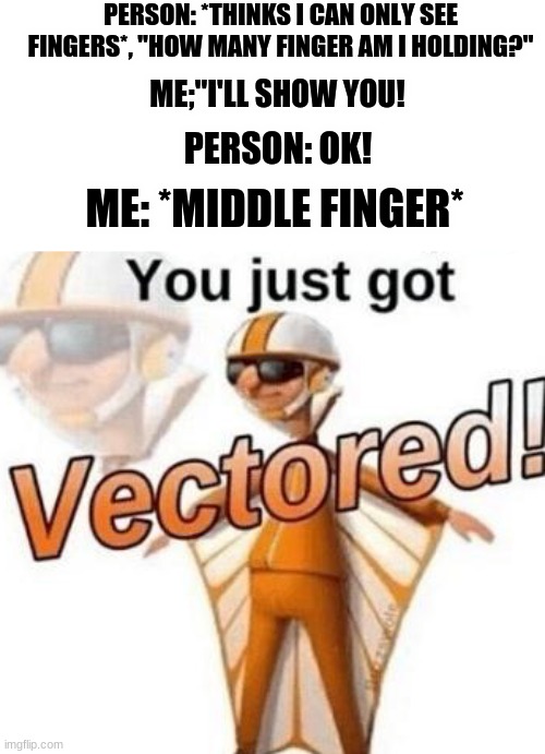 You just got vectored | PERSON: *THINKS I CAN ONLY SEE FINGERS*, "HOW MANY FINGER AM I HOLDING?"; ME;"I'LL SHOW YOU! PERSON: OK! ME: *MIDDLE FINGER* | image tagged in you just got vectored | made w/ Imgflip meme maker