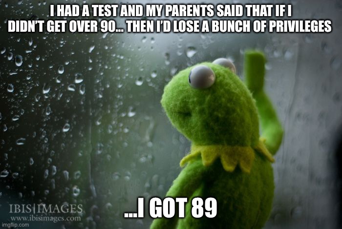 :( | I HAD A TEST AND MY PARENTS SAID THAT IF I DIDN’T GET OVER 90... THEN I’D LOSE A BUNCH OF PRIVILEGES; ...I GOT 89 | image tagged in kermit window | made w/ Imgflip meme maker