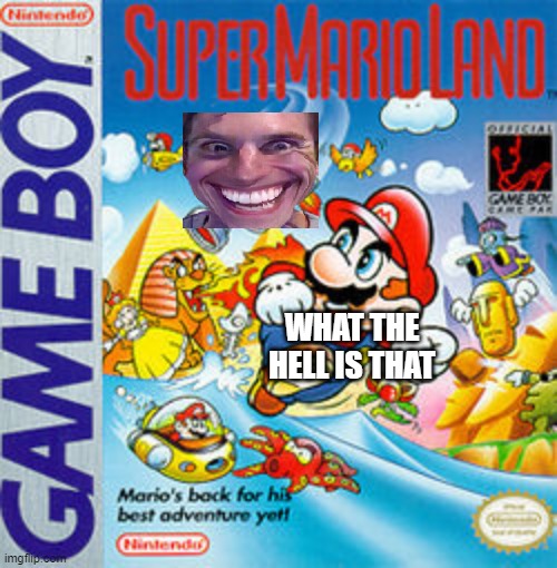 sus | WHAT THE HELL IS THAT | image tagged in i have no idea what i'm doing super mario land | made w/ Imgflip meme maker
