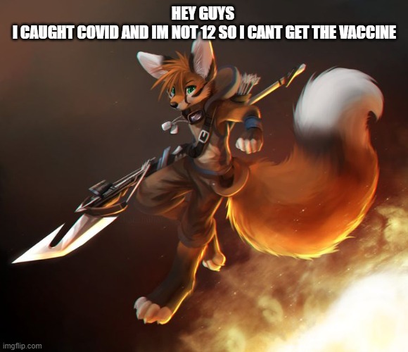 Fox furry art | HEY GUYS 
I CAUGHT COVID AND IM NOT 12 SO I CANT GET THE VACCINE | image tagged in fox furry art | made w/ Imgflip meme maker
