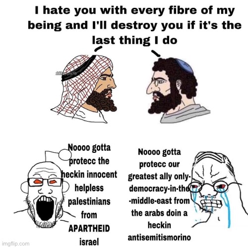 Cringing at both sides here | image tagged in israel palestine | made w/ Imgflip meme maker