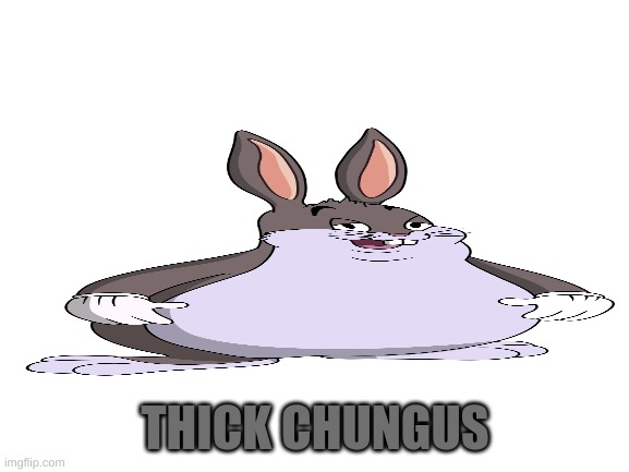 Thick CHungus | THICK CHUNGUS | image tagged in big chungus | made w/ Imgflip meme maker