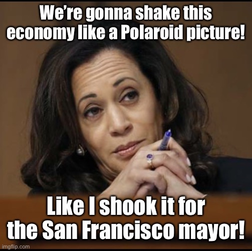 Kamala Harris  | We’re gonna shake this economy like a Polaroid picture! Like I shook it for the San Francisco mayor! | image tagged in kamala harris | made w/ Imgflip meme maker
