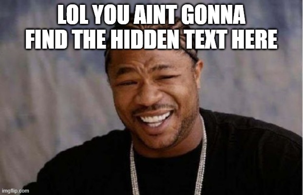 Yo Dawg Heard You | LOL YOU AINT GONNA FIND THE HIDDEN TEXT HERE; GOOD LUCK FINDING THIS | image tagged in memes | made w/ Imgflip meme maker