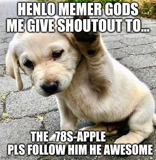 Shoutout! | HENLO MEMER GODS ME GIVE SHOUTOUT TO... THE_78S-APPLE            PLS FOLLOW HIM HE AWESOME | image tagged in henlo doggo | made w/ Imgflip meme maker