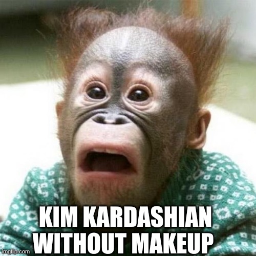 Shocked Monkey | KIM KARDASHIAN WITHOUT MAKEUP | image tagged in shocked monkey | made w/ Imgflip meme maker