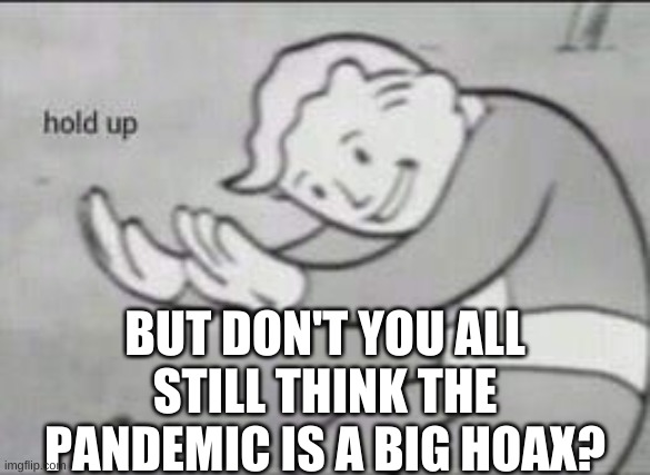 Fallout Hold Up | BUT DON'T YOU ALL STILL THINK THE PANDEMIC IS A BIG HOAX? | image tagged in fallout hold up | made w/ Imgflip meme maker