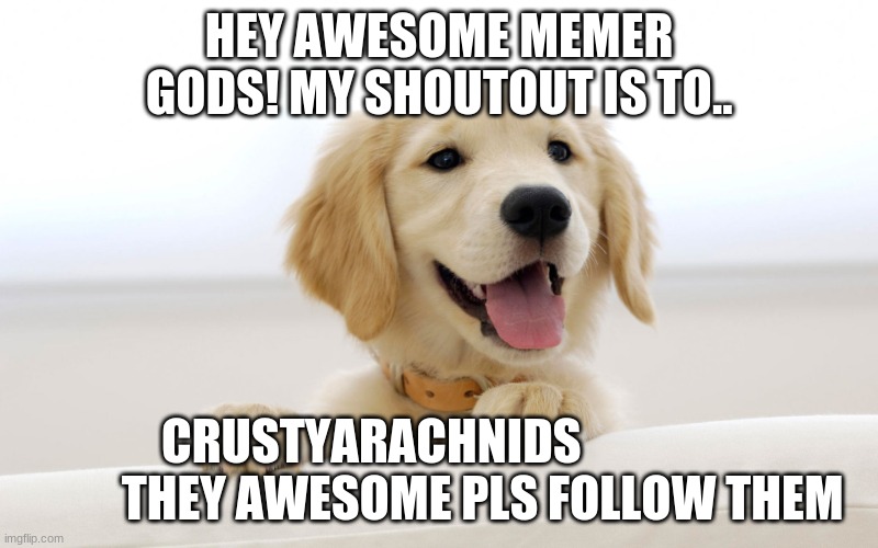 Shoutout!!!!! | HEY AWESOME MEMER GODS! MY SHOUTOUT IS TO.. CRUSTYARACHNIDS                        THEY AWESOME PLS FOLLOW THEM | image tagged in cute dog idiot | made w/ Imgflip meme maker