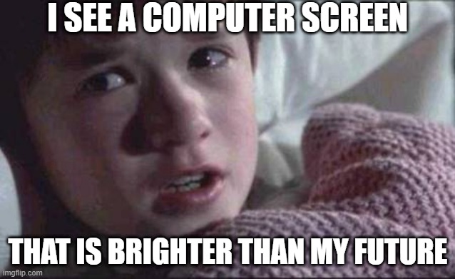 bruh | I SEE A COMPUTER SCREEN; THAT IS BRIGHTER THAN MY FUTURE | image tagged in memes,i see dead people,funny | made w/ Imgflip meme maker