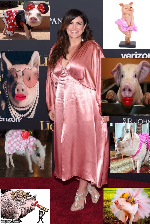 PIG IN A DRESS | image tagged in gina carano,lipstick on a pig,pig in a dress,racist,disney killed star wars,blacklisted | made w/ Imgflip meme maker