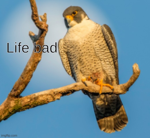 Life bad | made w/ Imgflip meme maker