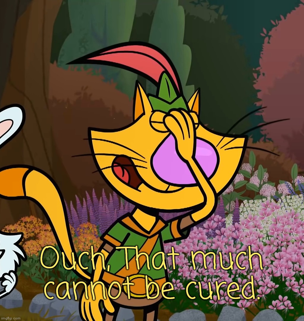 Nature Cat Facepalm | Ouch, That much cannot be cured. | image tagged in nature cat facepalm | made w/ Imgflip meme maker