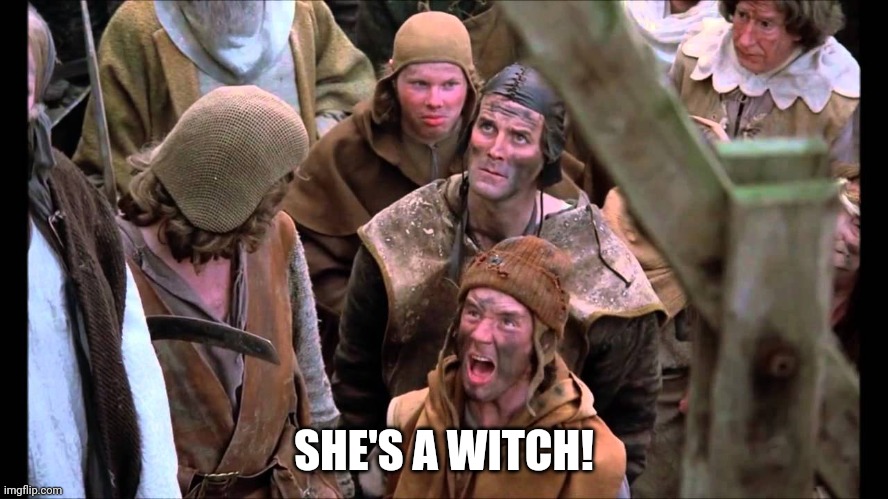 She's a Witch! | SHE'S A WITCH! | image tagged in she's a witch | made w/ Imgflip meme maker