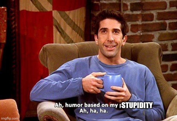 Ross Humor based on my pain | STUPIDITY | image tagged in ross humor based on my pain | made w/ Imgflip meme maker