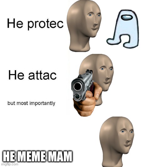he protec | HE MEME MAM | image tagged in he protec | made w/ Imgflip meme maker