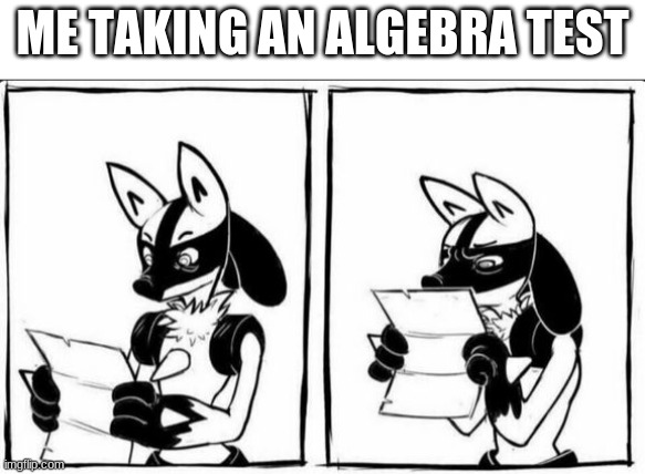 Confused Lucario | ME TAKING AN ALGEBRA TEST | image tagged in confused lucario | made w/ Imgflip meme maker