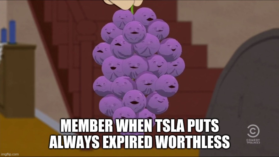 Member Berries Meme | MEMBER WHEN TSLA PUTS ALWAYS EXPIRED WORTHLESS | image tagged in memes,member berries | made w/ Imgflip meme maker