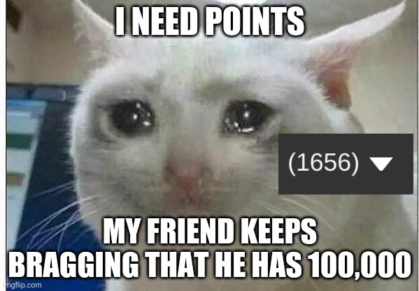 crying cat | I NEED POINTS; MY FRIEND KEEPS BRAGGING THAT HE HAS 100,000 | image tagged in crying cat | made w/ Imgflip meme maker