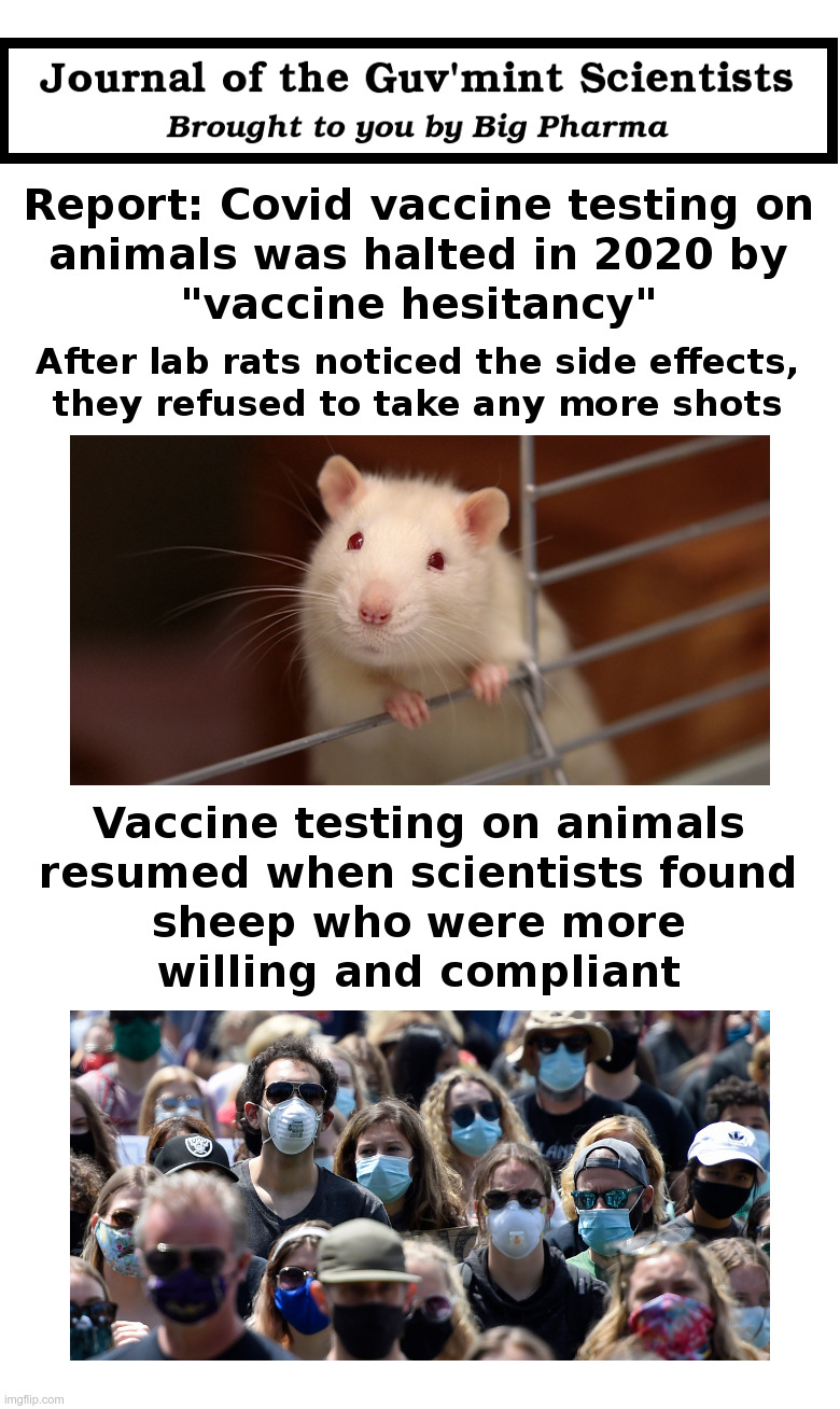Covid "Vaccine Hesitancy" Halted 2020 Animal Testing | image tagged in covid,vaccine,big pharma,rats,sheep,sheeple | made w/ Imgflip meme maker
