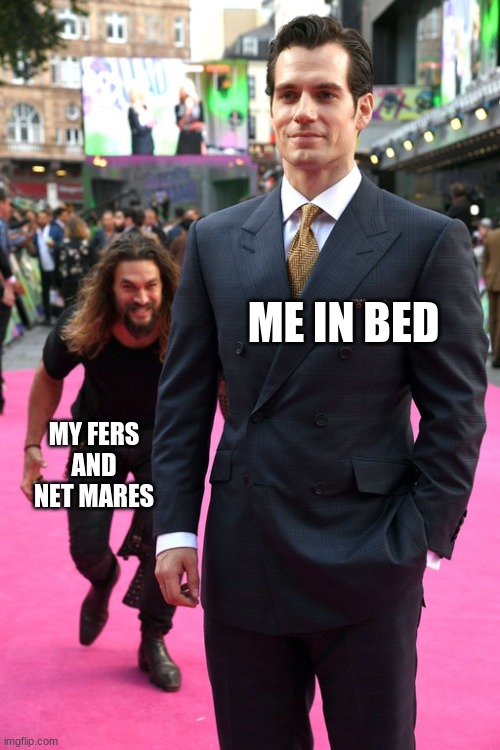 GOD SAVE ME | ME IN BED; MY FERS AND NET MARES | image tagged in jason momoa henry cavill meme | made w/ Imgflip meme maker