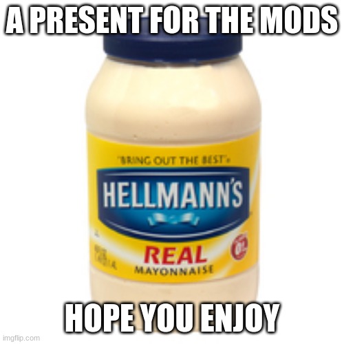 hope you enjoy | A PRESENT FOR THE MODS; HOPE YOU ENJOY | image tagged in mayonnaise | made w/ Imgflip meme maker