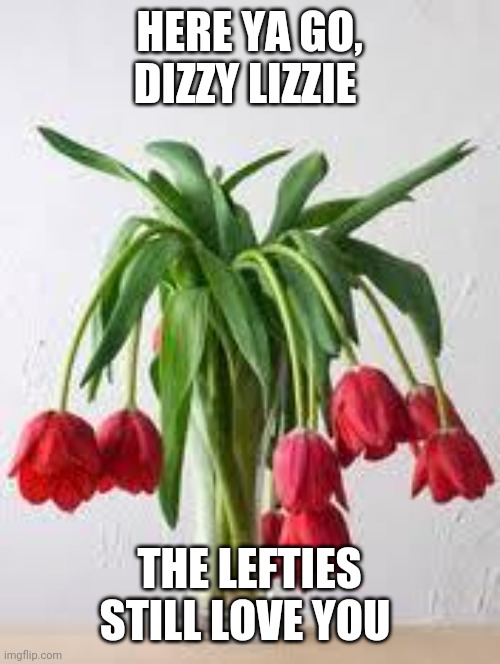 Wilted Flowers | HERE YA GO, DIZZY LIZZIE THE LEFTIES STILL LOVE YOU | image tagged in wilted flowers | made w/ Imgflip meme maker