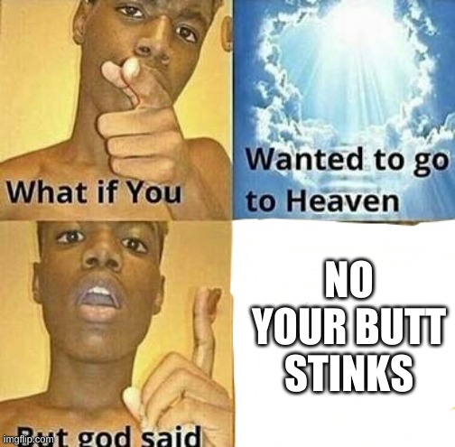 What if you wanted to go to Heaven | NO YOUR BUTT STINKS | image tagged in what if you wanted to go to heaven | made w/ Imgflip meme maker