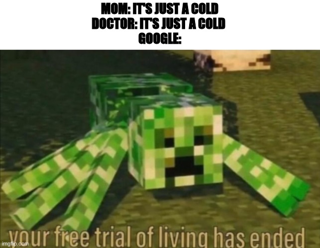 Your Free Trial of Living Has Ended | MOM: IT'S JUST A COLD
DOCTOR: IT'S JUST A COLD 
GOOGLE: | image tagged in your free trial of living has ended | made w/ Imgflip meme maker
