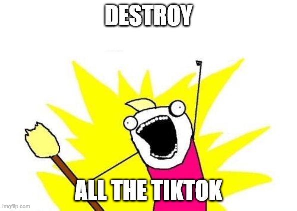 X All The Y Meme | DESTROY; ALL THE TIKTOK | image tagged in memes,x all the y | made w/ Imgflip meme maker