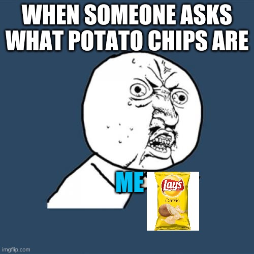 ahhhhhhhhhhhh | WHEN SOMEONE ASKS WHAT POTATO CHIPS ARE; ME | image tagged in memes,y u no | made w/ Imgflip meme maker