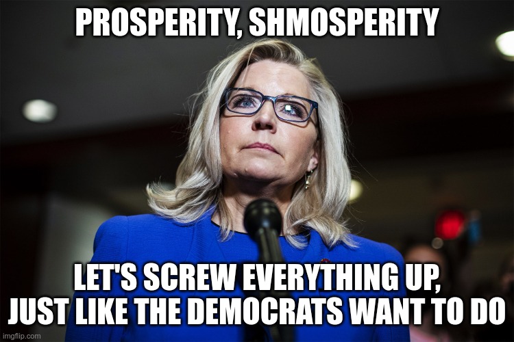 Liz Cheney | PROSPERITY, SHMOSPERITY LET'S SCREW EVERYTHING UP, JUST LIKE THE DEMOCRATS WANT TO DO | image tagged in liz cheney | made w/ Imgflip meme maker