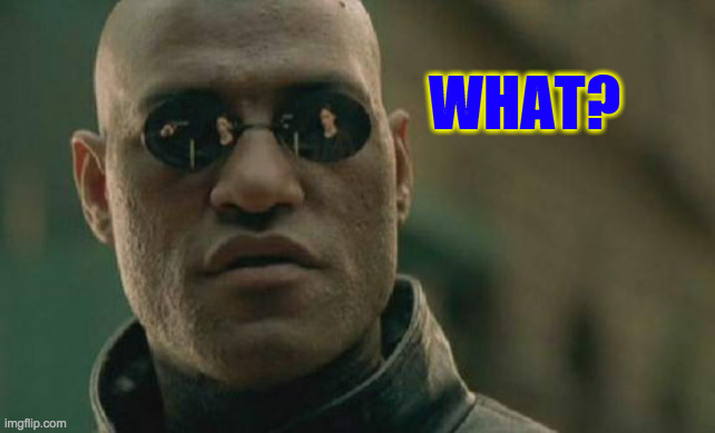 Matrix Morpheus Meme | WHAT? | image tagged in memes,matrix morpheus | made w/ Imgflip meme maker