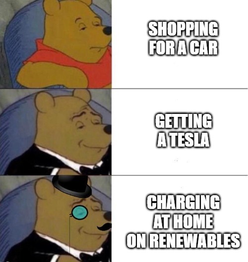 Winnnie the Pooh Elegant - Electric Vehicles | SHOPPING FOR A CAR; GETTING A TESLA; CHARGING AT HOME ON RENEWABLES | image tagged in winnie the pooh elegant x3,electric vehicles | made w/ Imgflip meme maker