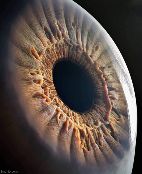 The Human Eye.   Photo credit: @eugenefilimonov | image tagged in eyes,awesome pic | made w/ Imgflip meme maker
