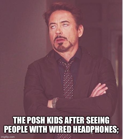 Posh kids | THE POSH KIDS AFTER SEEING PEOPLE WITH WIRED HEADPHONES; | image tagged in memes,face you make robert downey jr | made w/ Imgflip meme maker