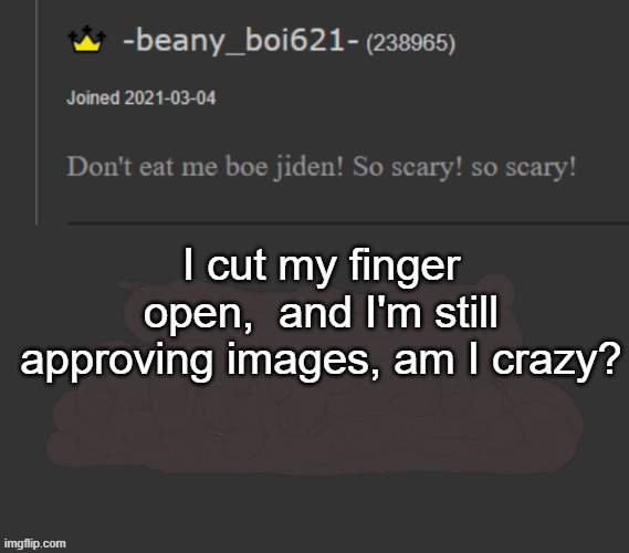 Just a question | I cut my finger open,  and I'm still approving images, am I crazy? | image tagged in beany | made w/ Imgflip meme maker