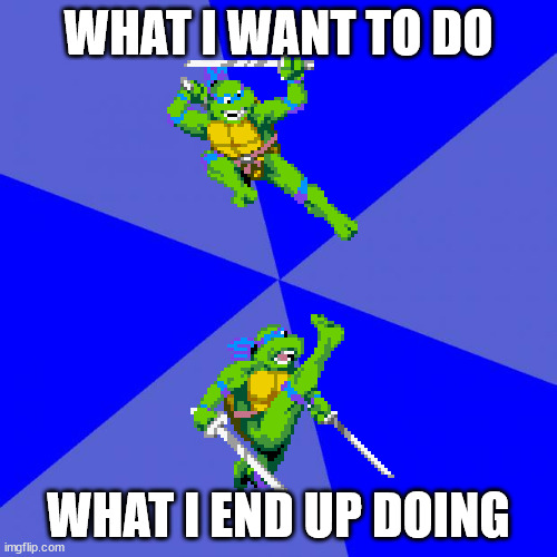 TurtleKick | WHAT I WANT TO DO; WHAT I END UP DOING | image tagged in teenage mutant ninja turtles | made w/ Imgflip meme maker