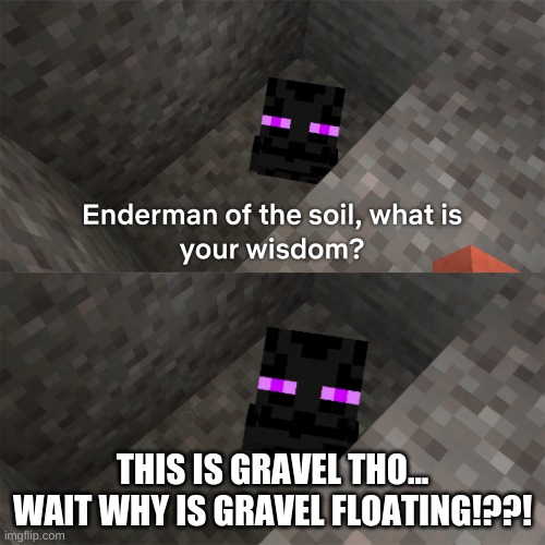 Enderman of the soil | THIS IS GRAVEL THO... WAIT WHY IS GRAVEL FLOATING!??! | image tagged in enderman of the soil | made w/ Imgflip meme maker