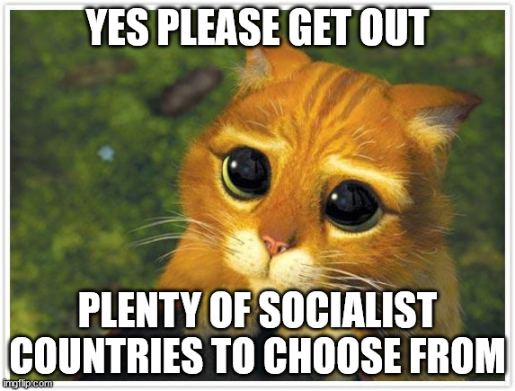 Shrek Cat Meme | YES PLEASE GET OUT PLENTY OF SOCIALIST COUNTRIES TO CHOOSE FROM | image tagged in memes,shrek cat | made w/ Imgflip meme maker