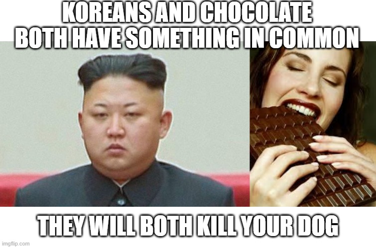 K9 Fear (Redux) | KOREANS AND CHOCOLATE BOTH HAVE SOMETHING IN COMMON; THEY WILL BOTH KILL YOUR DOG | image tagged in north korean leader,chocolate | made w/ Imgflip meme maker