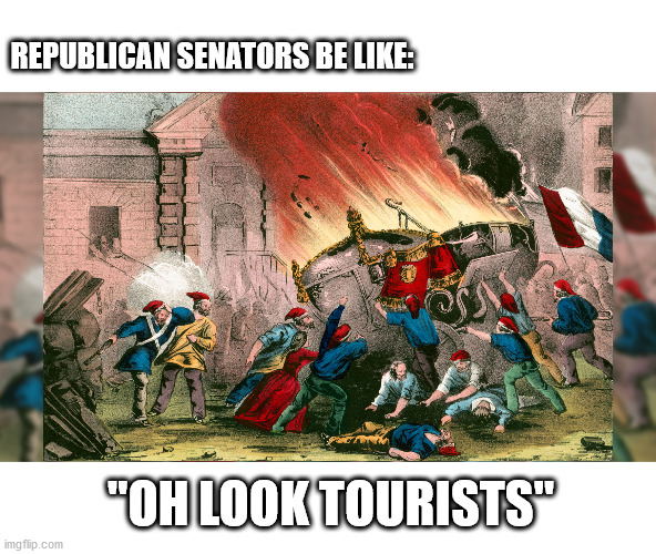 And we all know what happened to the rulers there | REPUBLICAN SENATORS BE LIKE:; "OH LOOK TOURISTS" | image tagged in french revolution,republicans,special kind of stupid | made w/ Imgflip meme maker