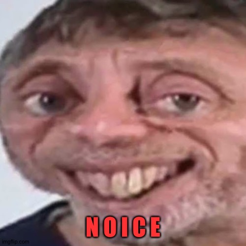 Noice | N O I C E | image tagged in noice | made w/ Imgflip meme maker