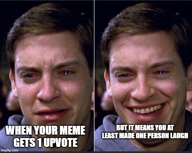 I mean at least you made one person laugh | BUT IT MEANS YOU AT LEAST MADE ONE PERSON LAUGH; WHEN YOUR MEME GETS 1 UPVOTE | image tagged in peter parker | made w/ Imgflip meme maker